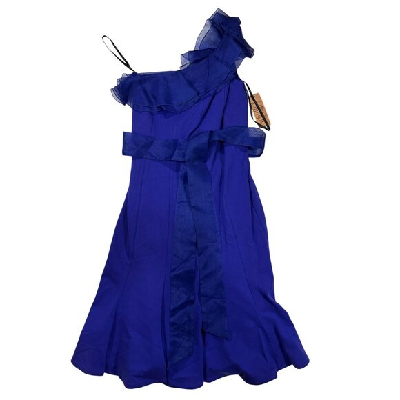 Nue by Shani Dresses & Skirts - Nue By Shani Plum One-Shoulder Ruffle Trim Dress Size 10 Body Architecture